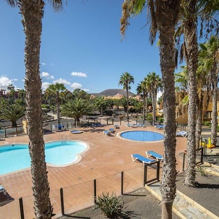 Lightbooking Oasis Royal Corralejo F311 Exterior foto